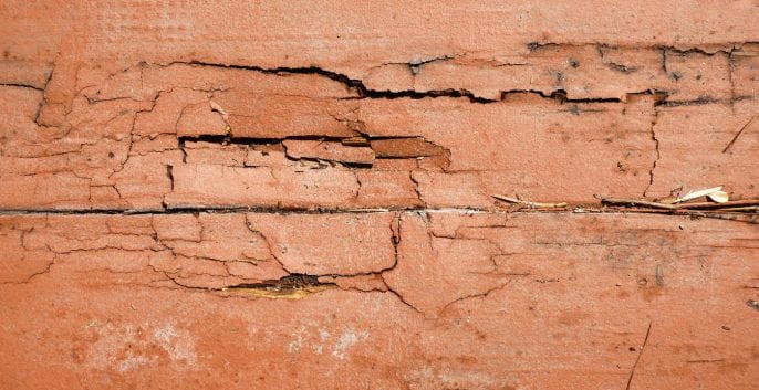 Check out our WOOD ROT REPAIR