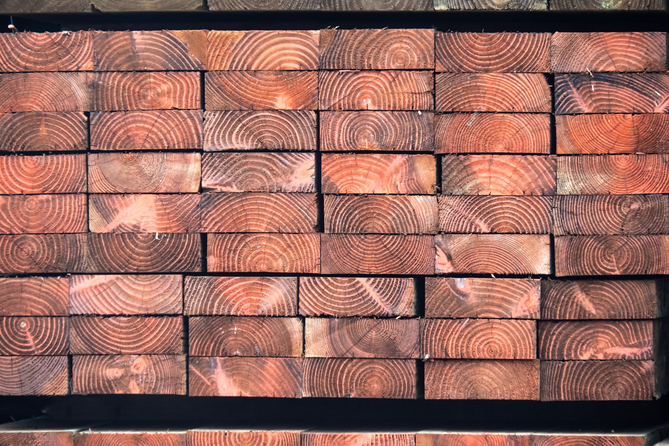 painting pressure treated wood