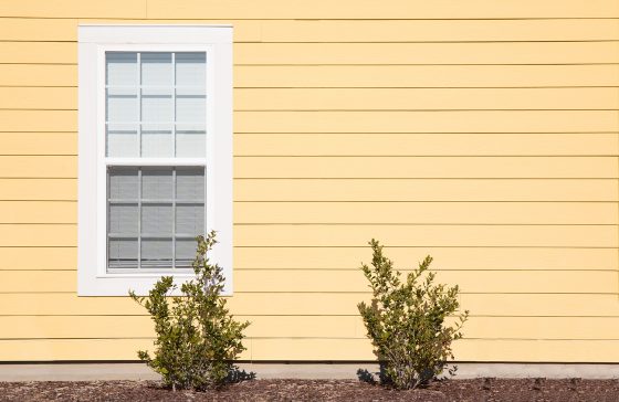 yellow siding on home exterior