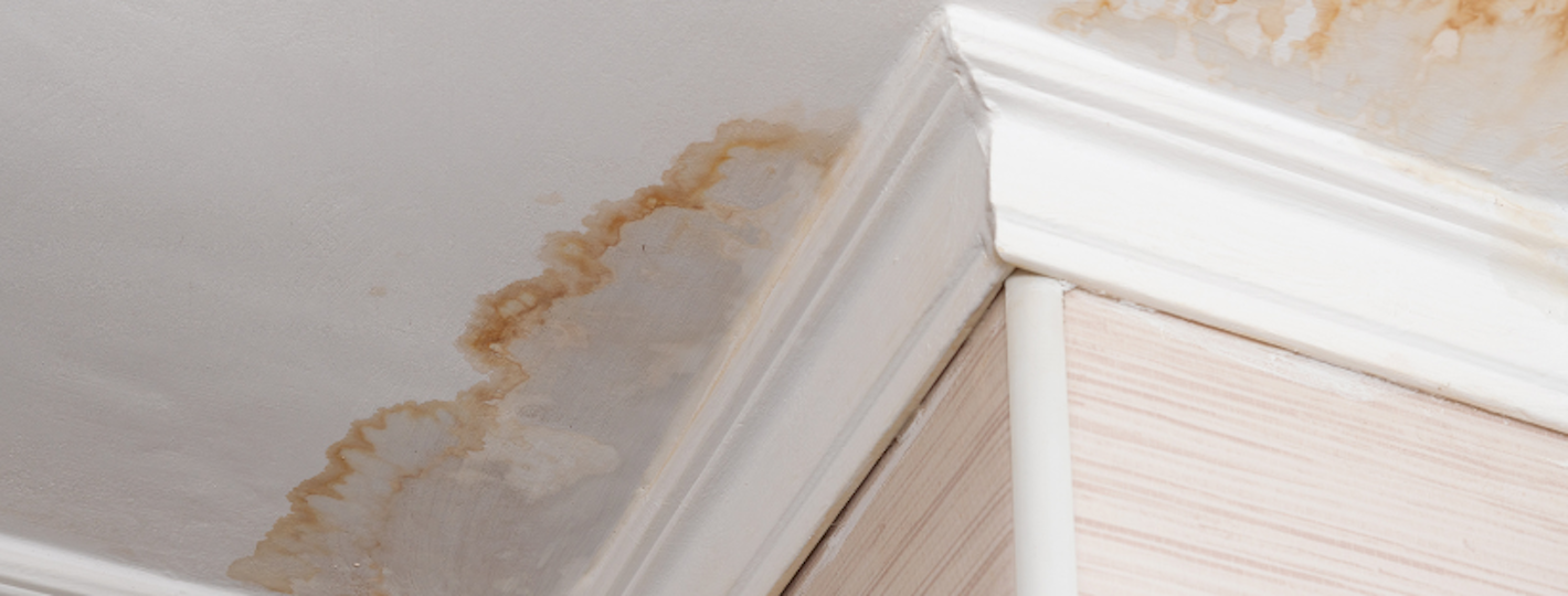 DaDamaged ceiling in need or repair and repaintmaged ceiling in need or repair and repaint