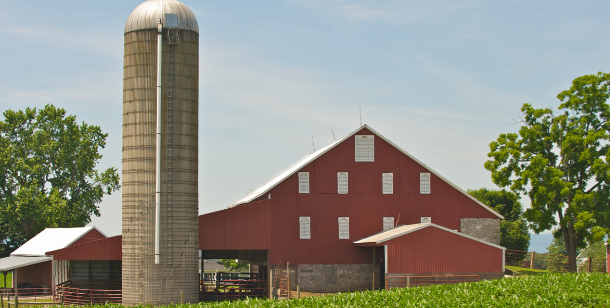 painted barn with silo