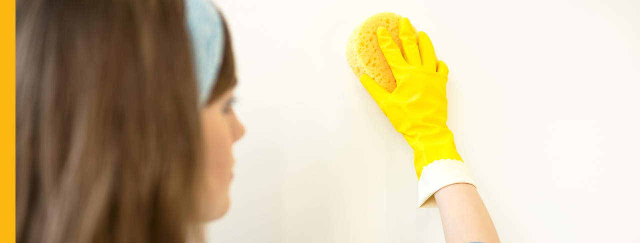 Person gently cleaning a painted interior wall with a sponge