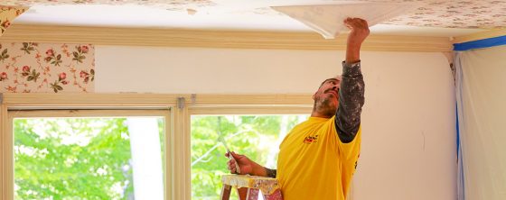 wallpaper removal services by certapro painters