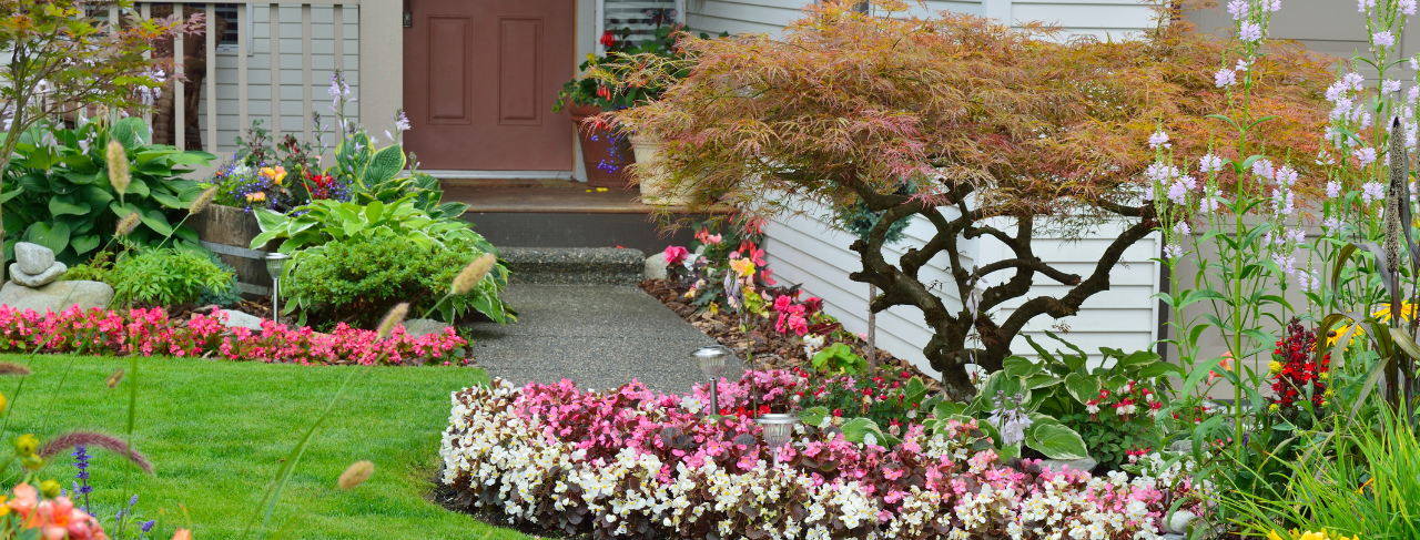 featured blog image