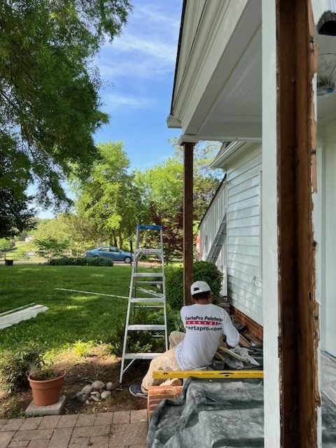 Residential Painting Project