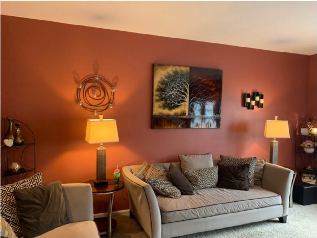 Souderton, PA – Living Room Painting Before