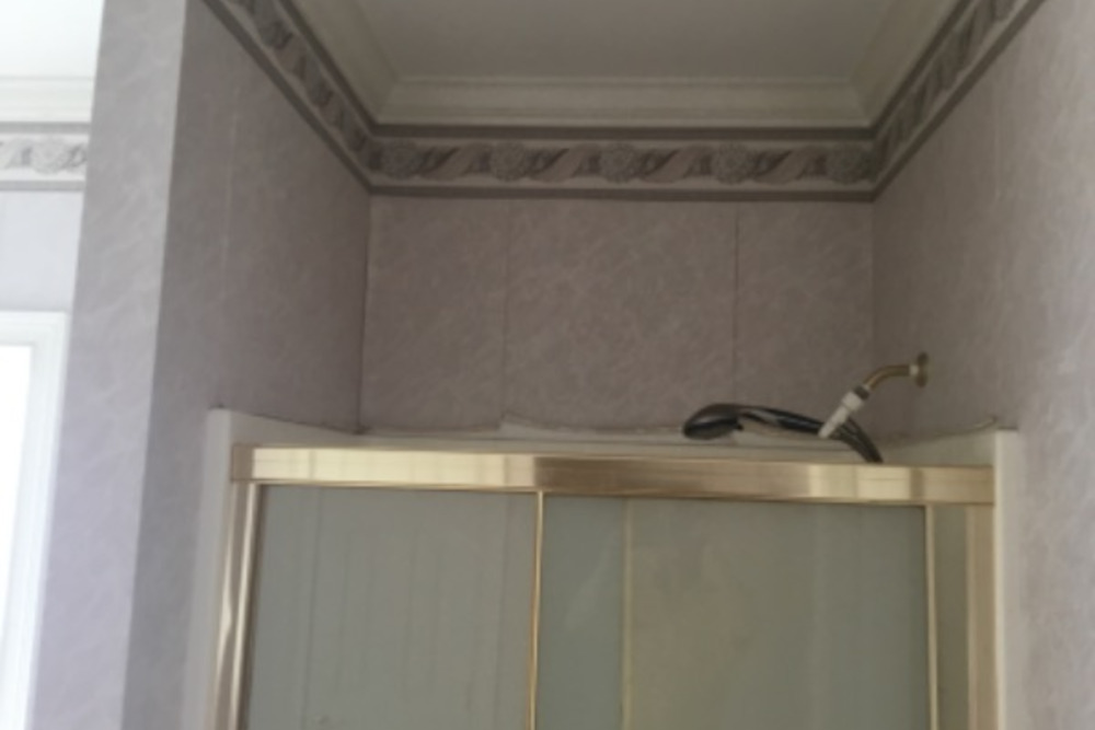Statesville Shower Painting Before