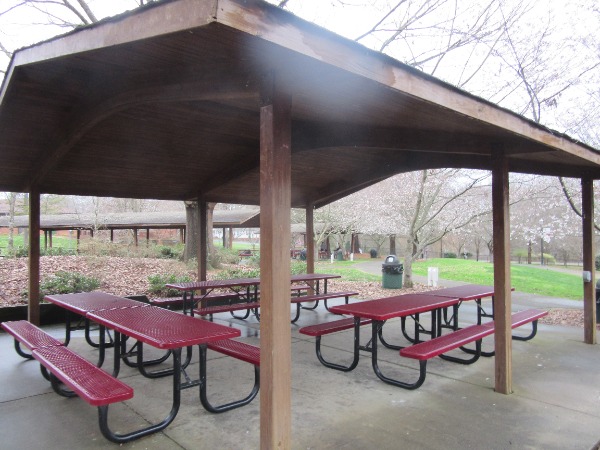 Picnic Gazebo Transformation Before