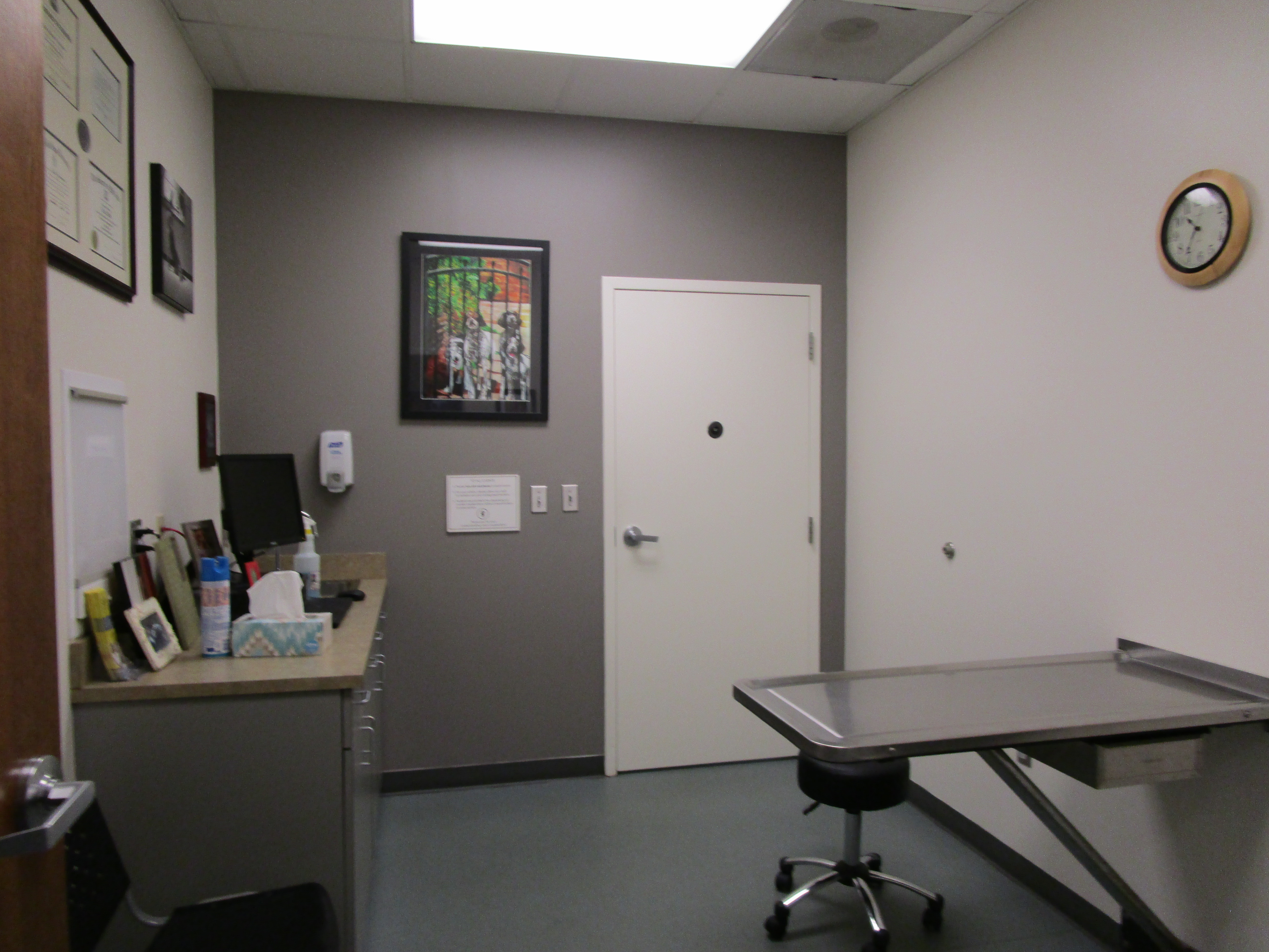 Carolina Vet Huntersville After
