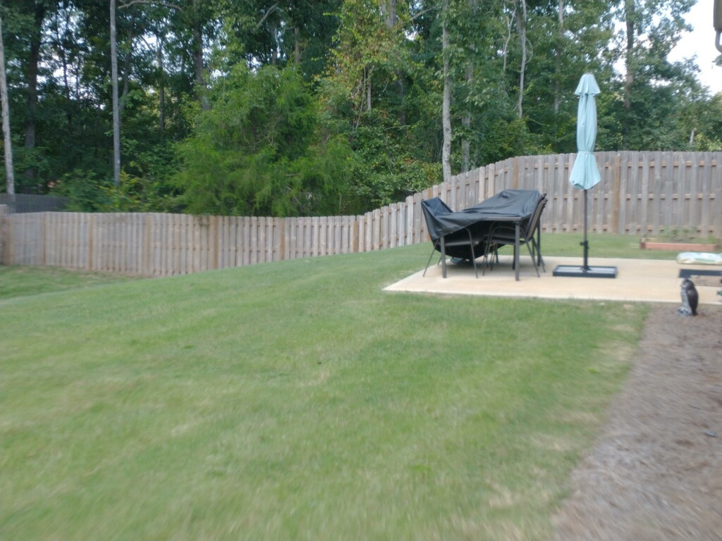 before fence staining