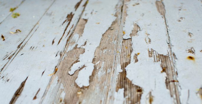 Check out our Wood Rot Repair