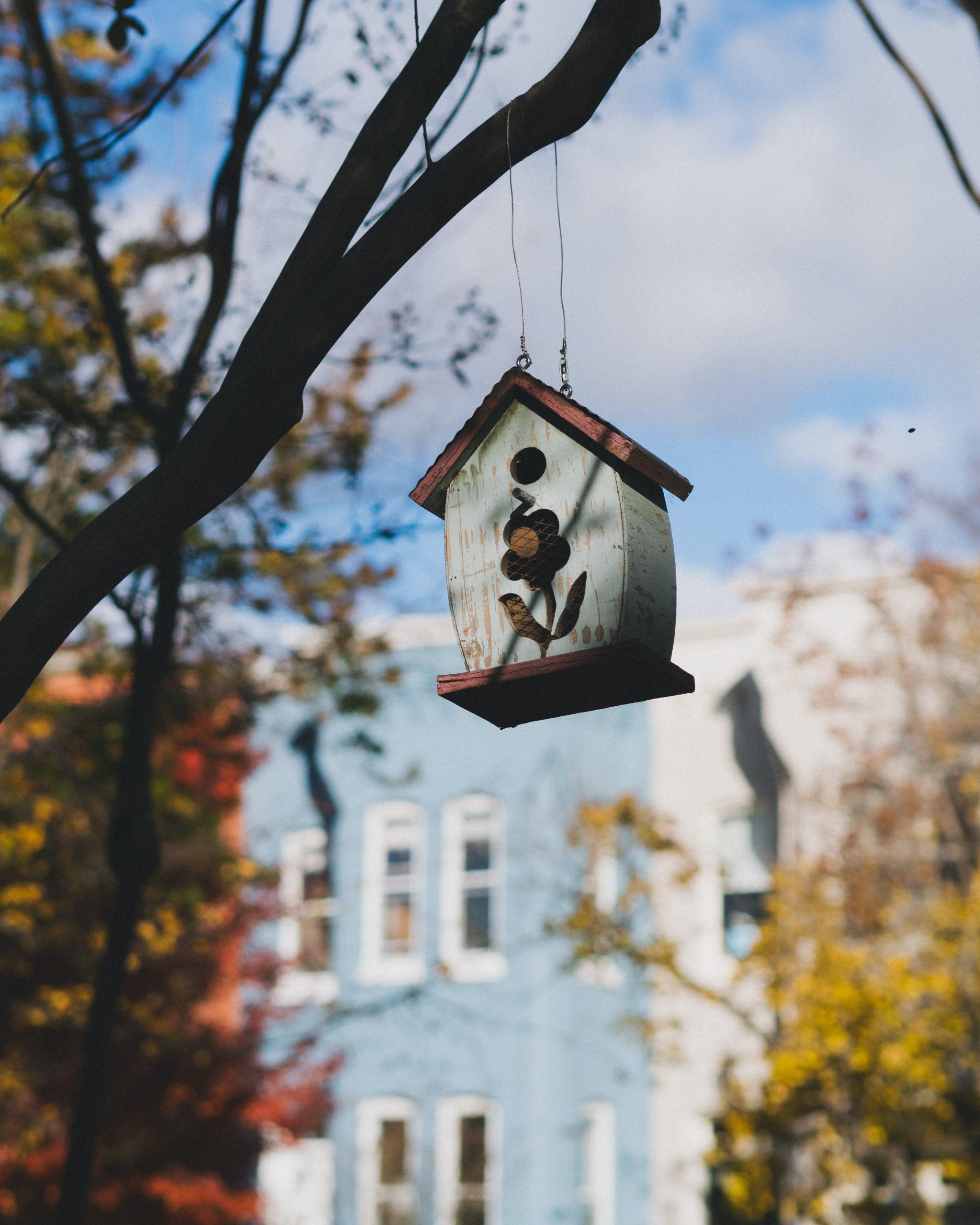 fall home decor