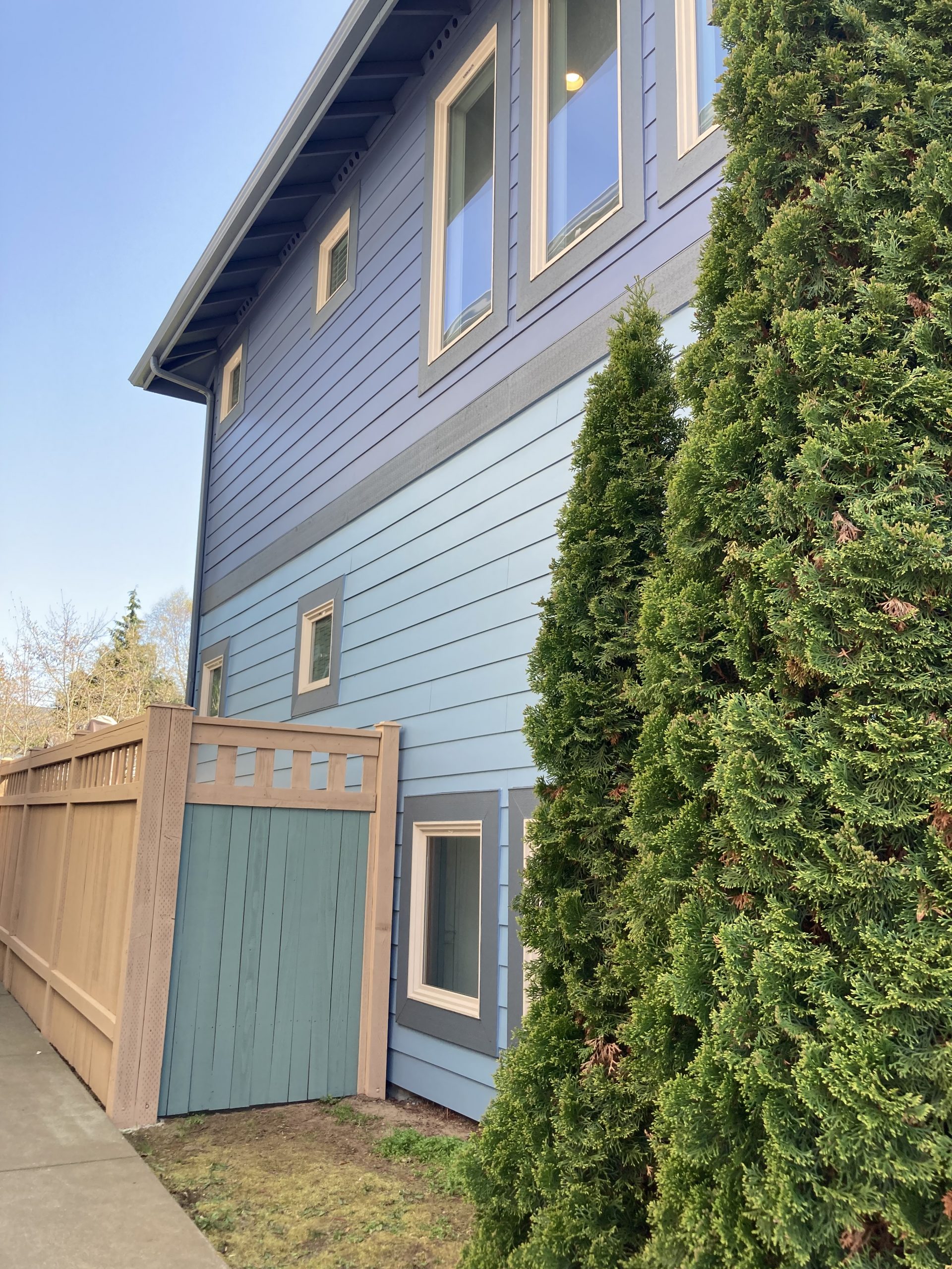 blue painted house