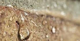 Check out our Brick Waterproofing