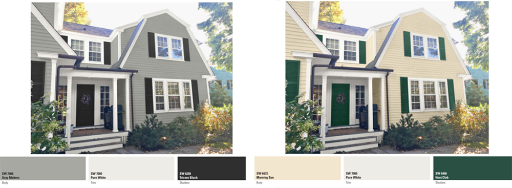 color design packet