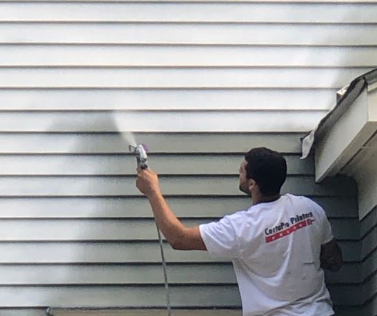 Spraying moss house white