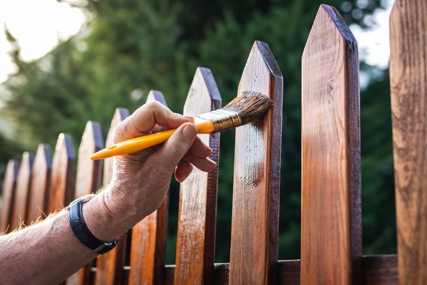 Check out our Deck & Fence Staining