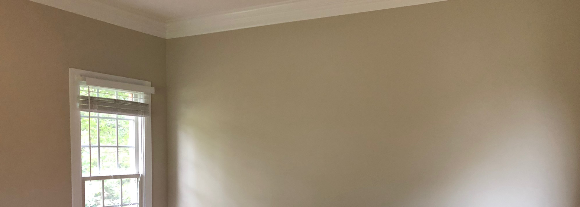 Painting Contractors