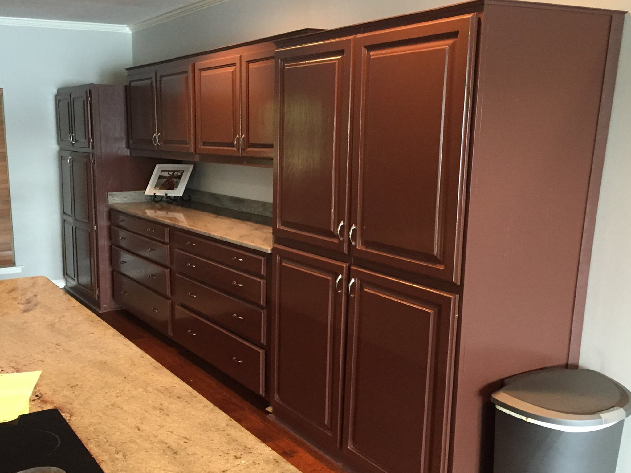 Cabinet Color Change Before