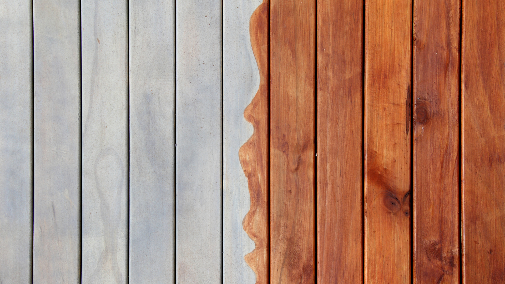 Check out our Fence Painting & Staining
