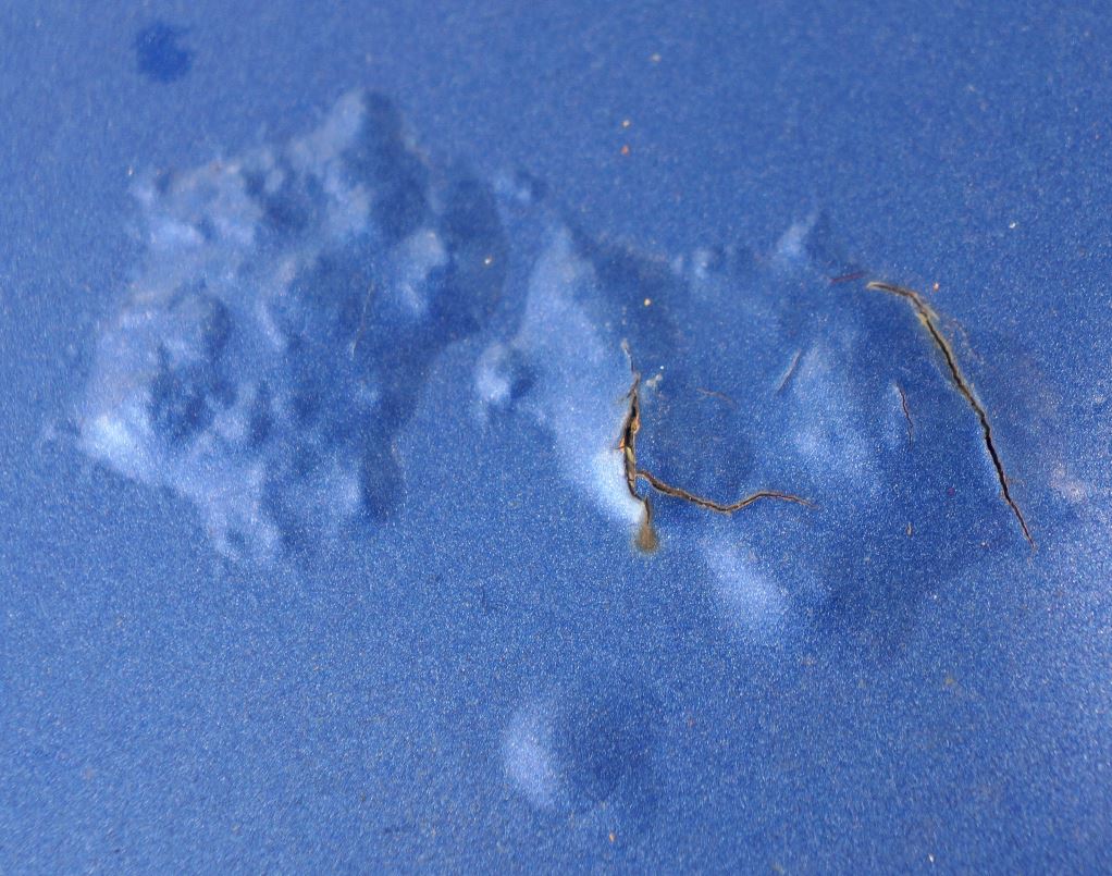 blistering paint