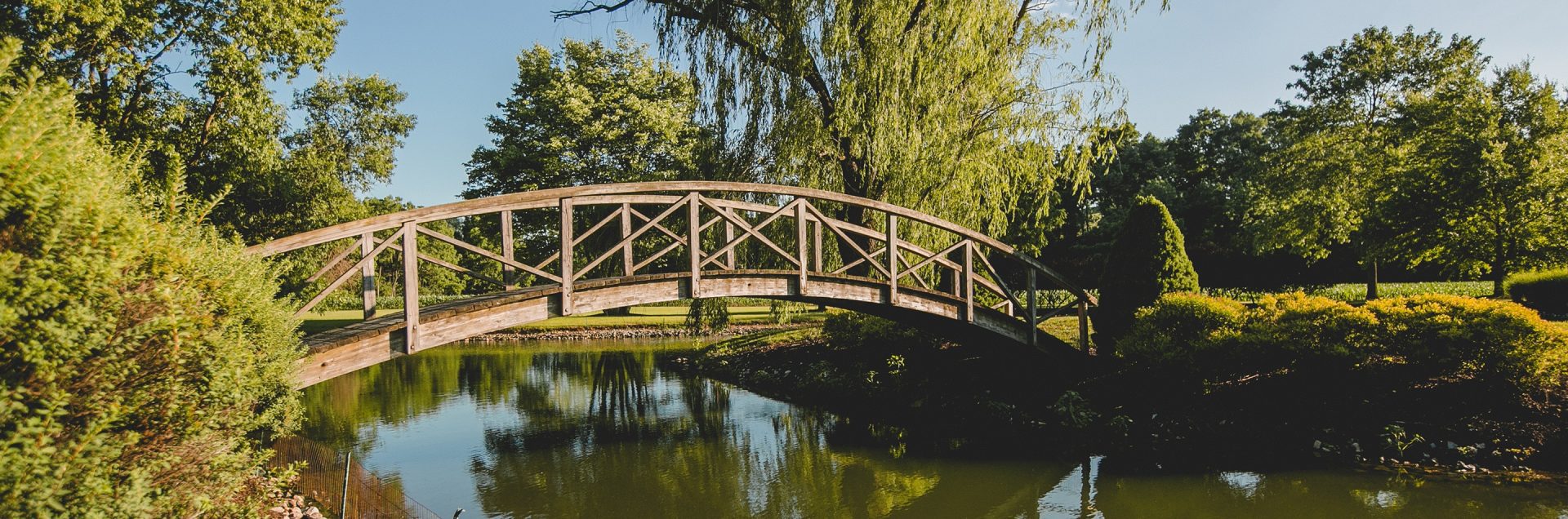 featured blog image