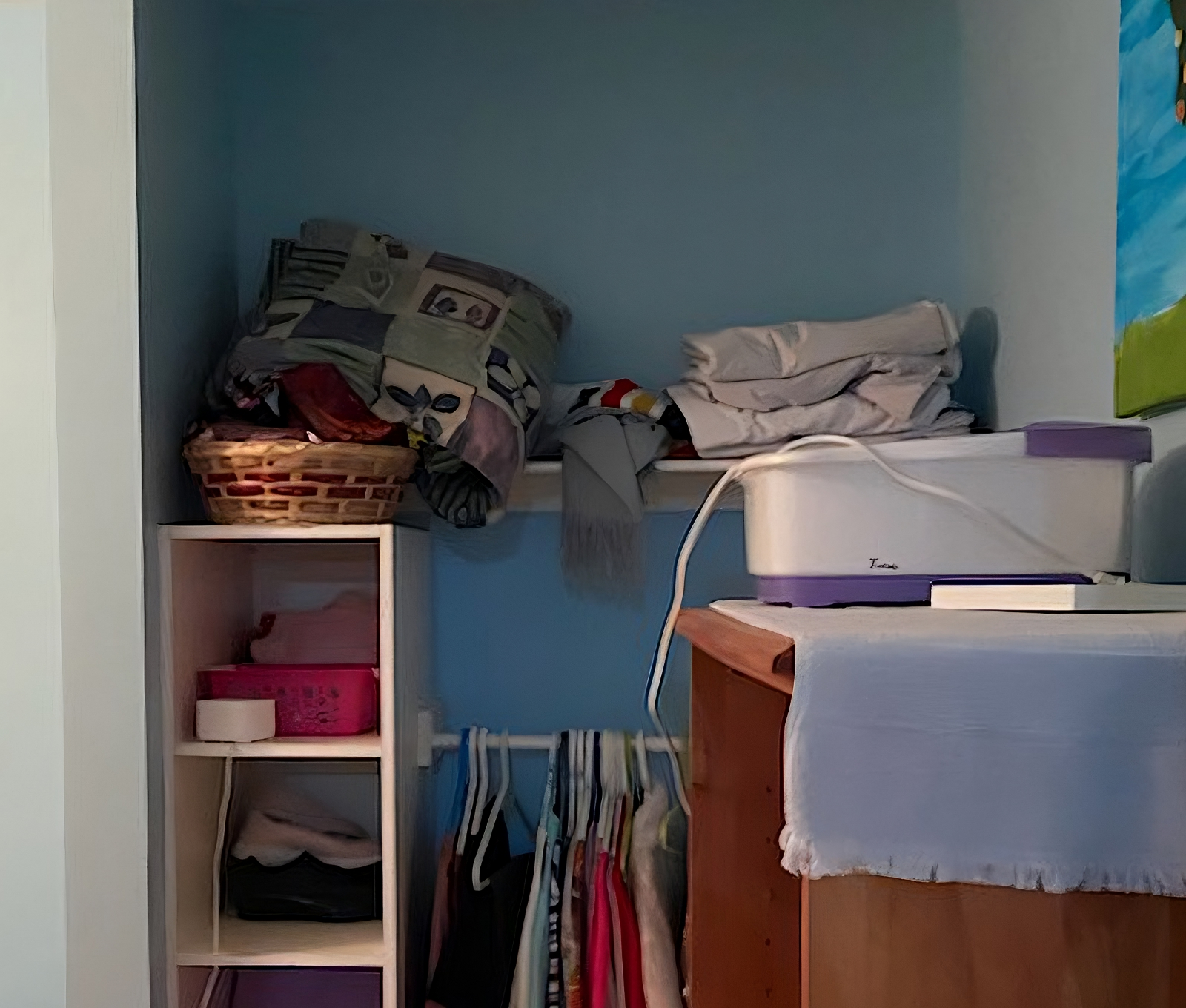 Closet Interior Repainted Before
