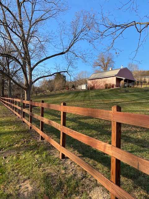 fence