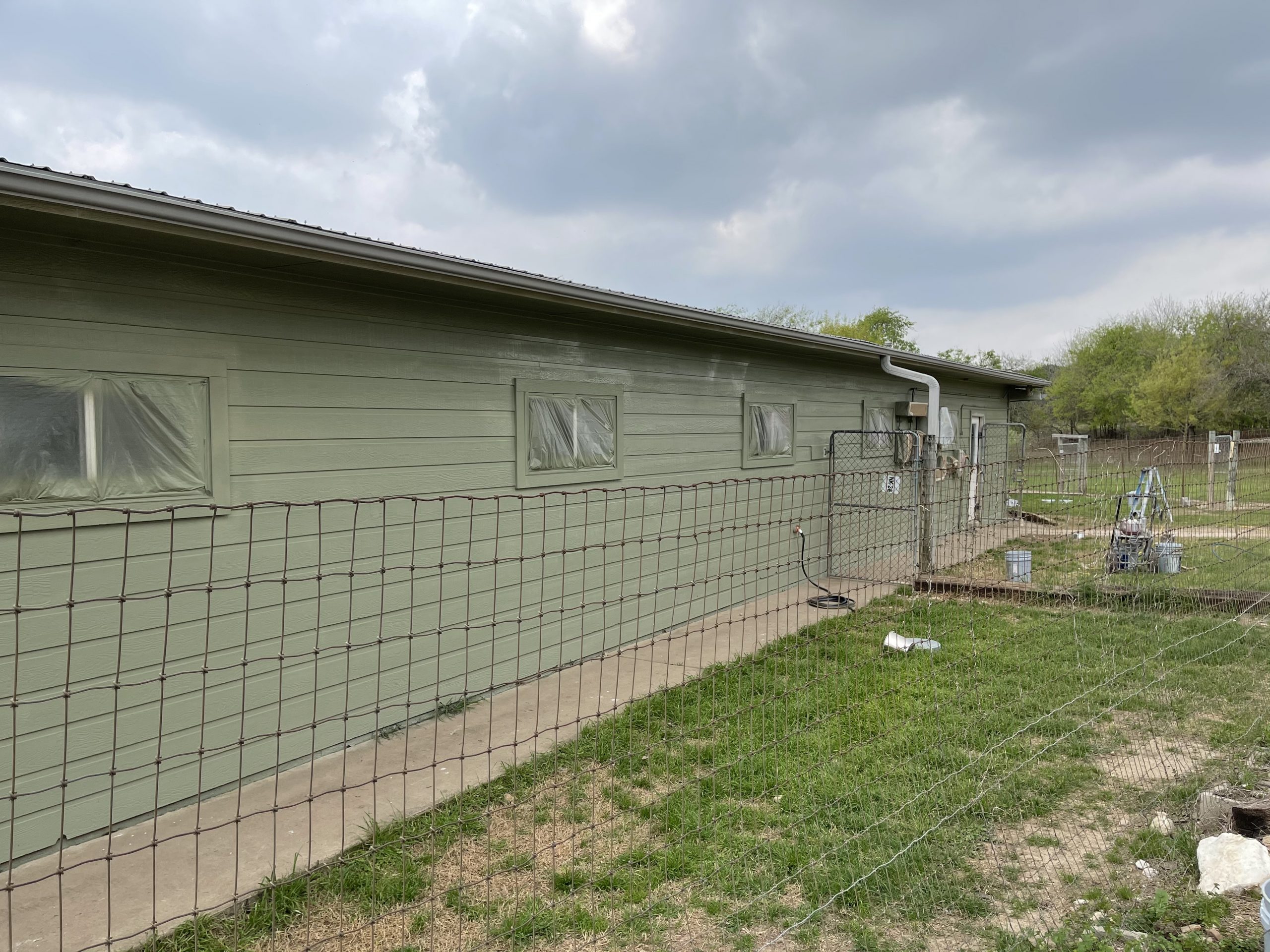 final result of dog training facility painted light green