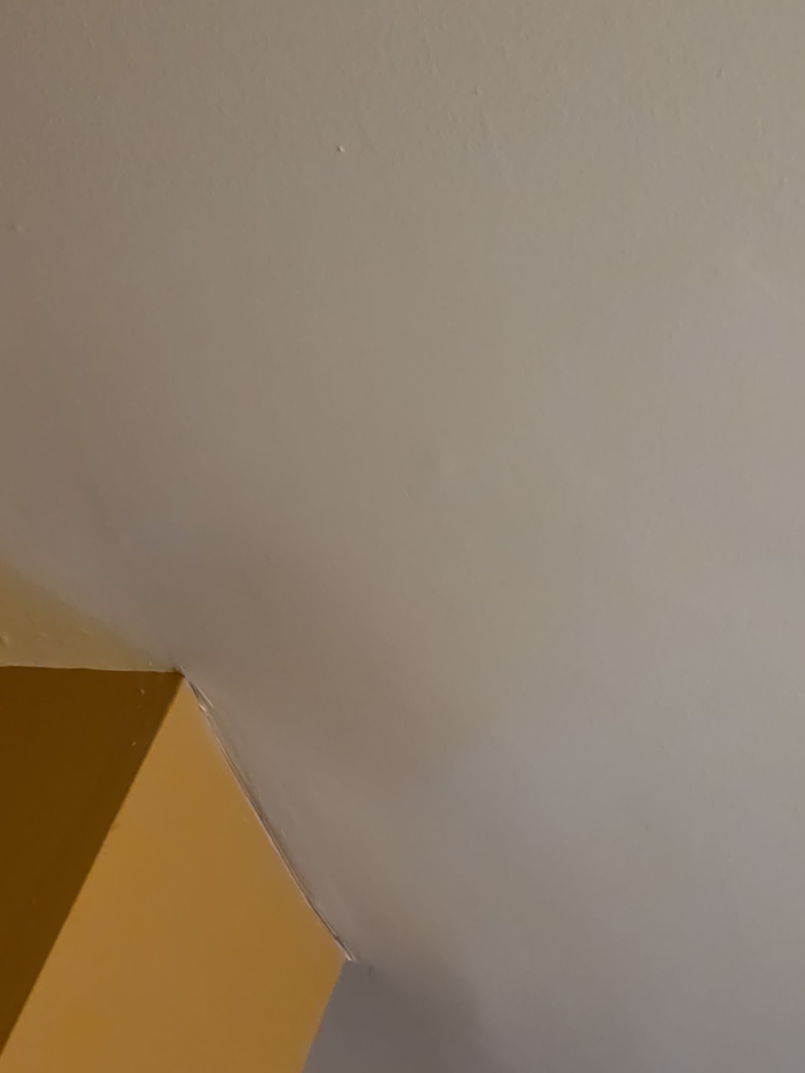 Celling Repair in Jersey City, NJ After
