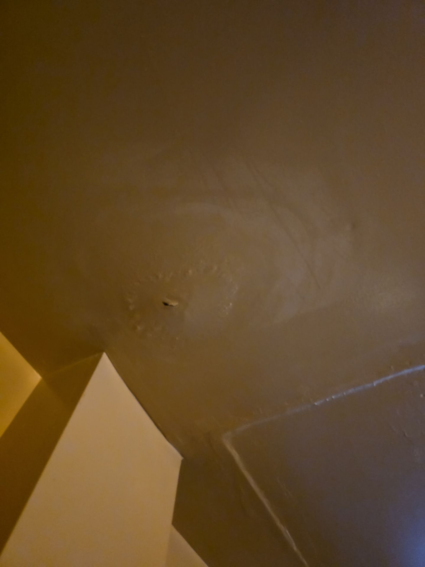 Celling Repair in Jersey City, NJ Before
