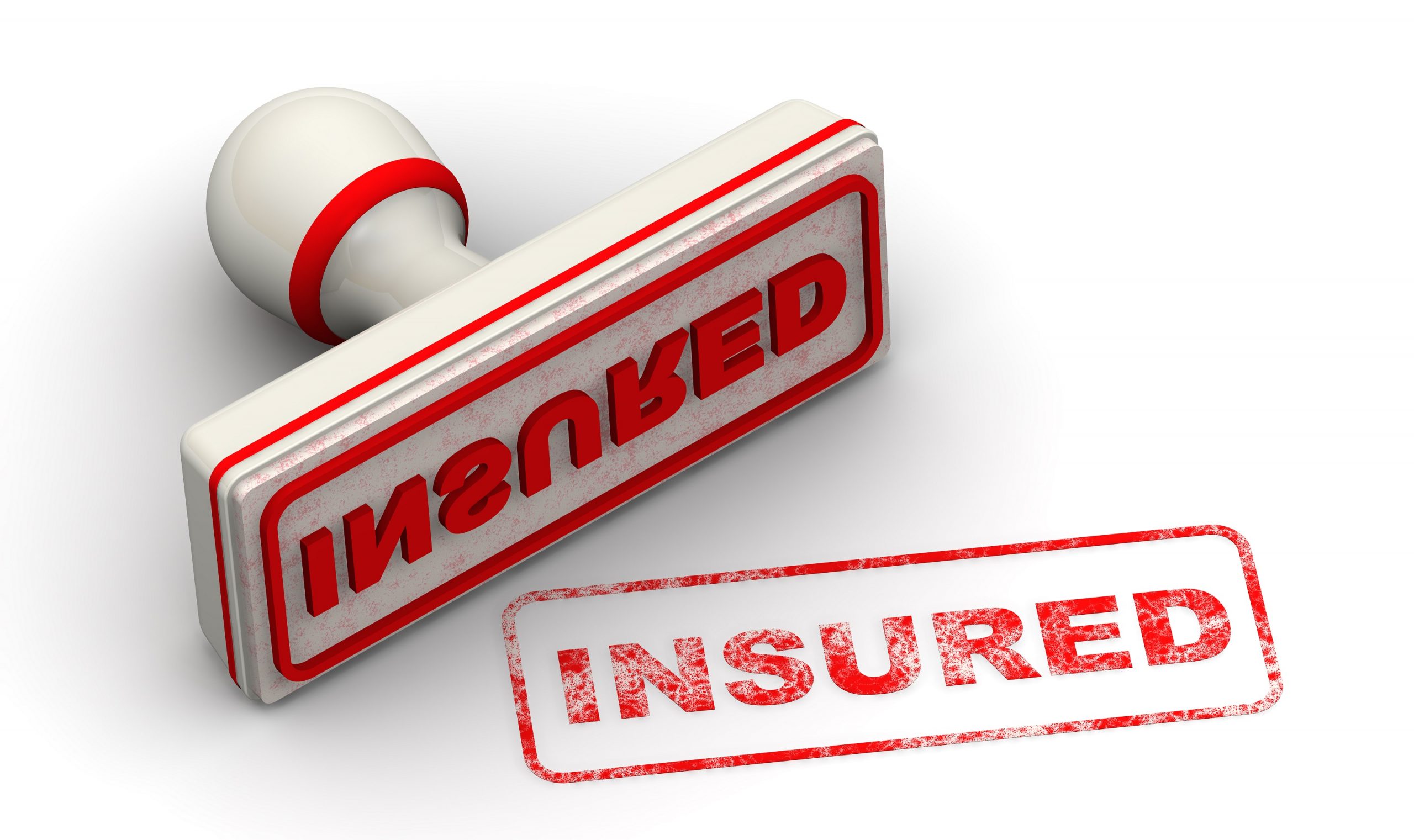 Check out our Professionally Insured