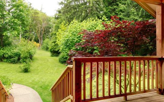 Check out our Deck Staining