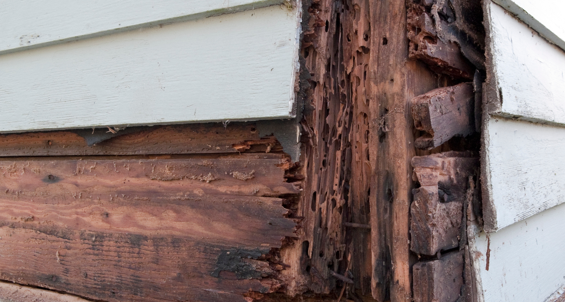 Check out our Wood Rot Repair