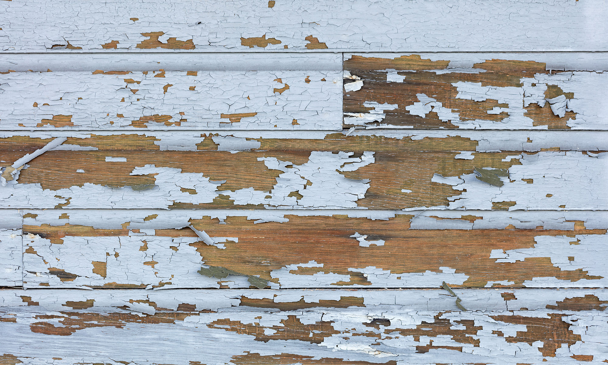 Check out our Lead Paint Identification Services