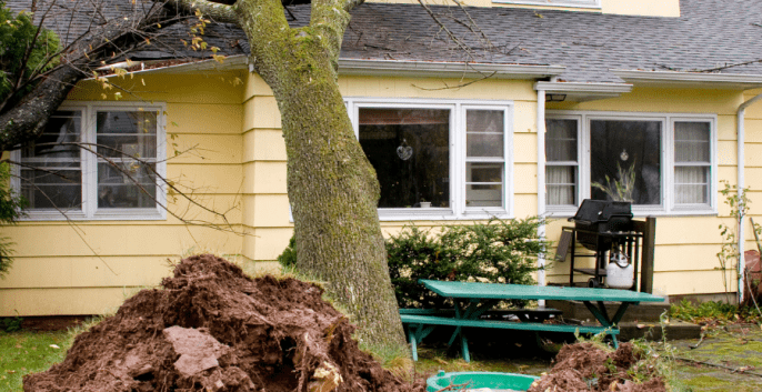 Check out our Storm Damage & Repair Painting Services