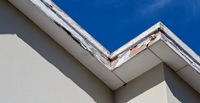 Check out our Wood Rot Repair