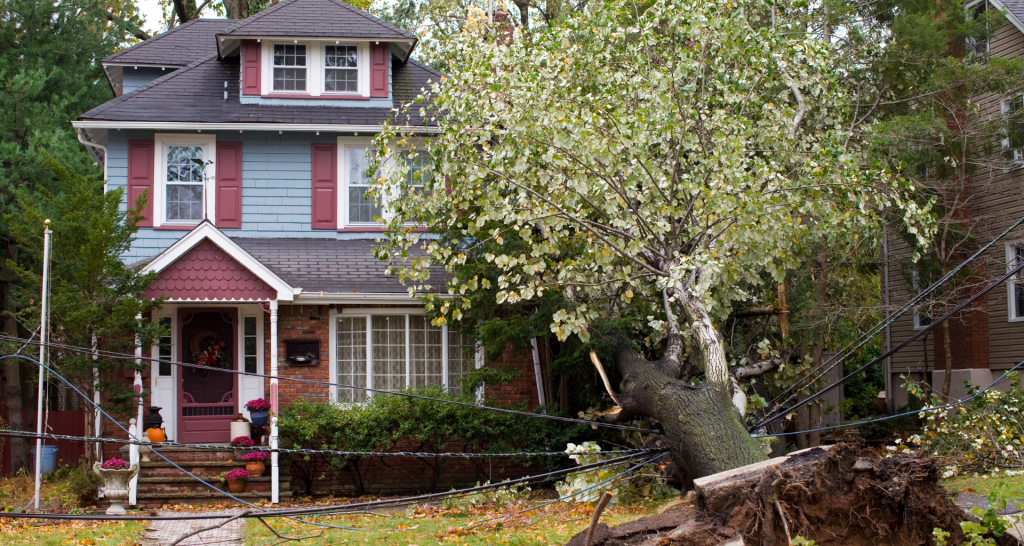 Check out our Storm Damage & Repair Painting Services