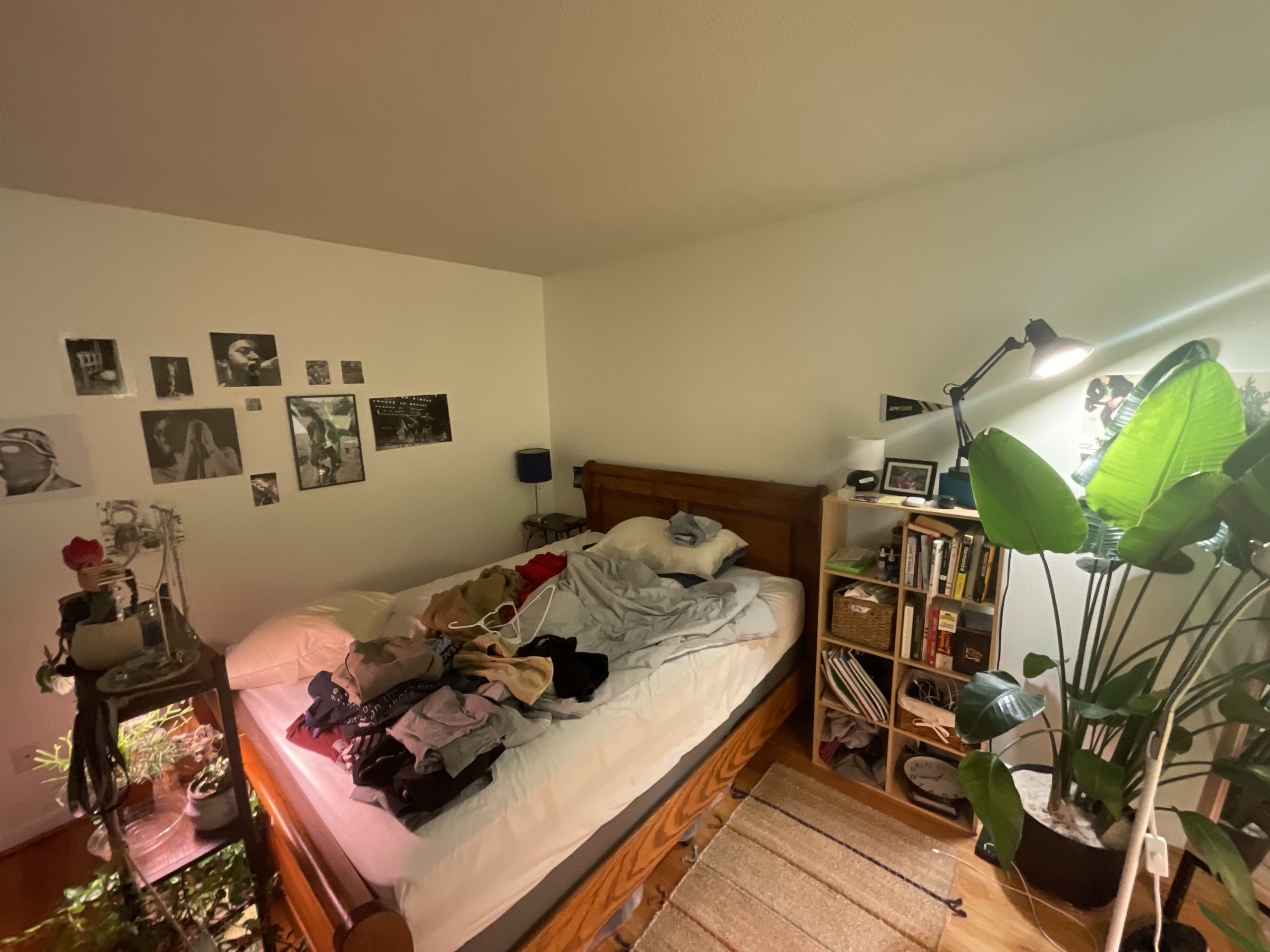 Townhome Interior Painting Before & After Before