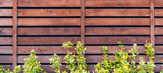 transparent fence stain