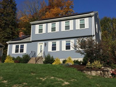 New Britain Colonial - Close-up