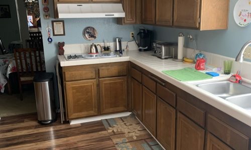 They Make the Kitchen a Dark Place
