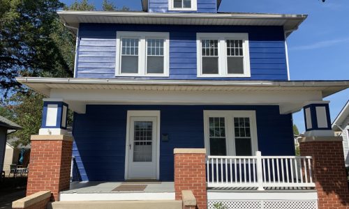 Exterior Vinyl Painting Blue