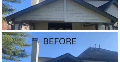 Roof and Siding Painting