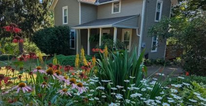 Exterior House Painting