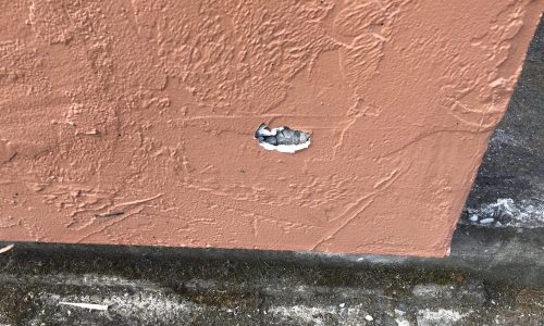 Burrito Boy Cracked Paint