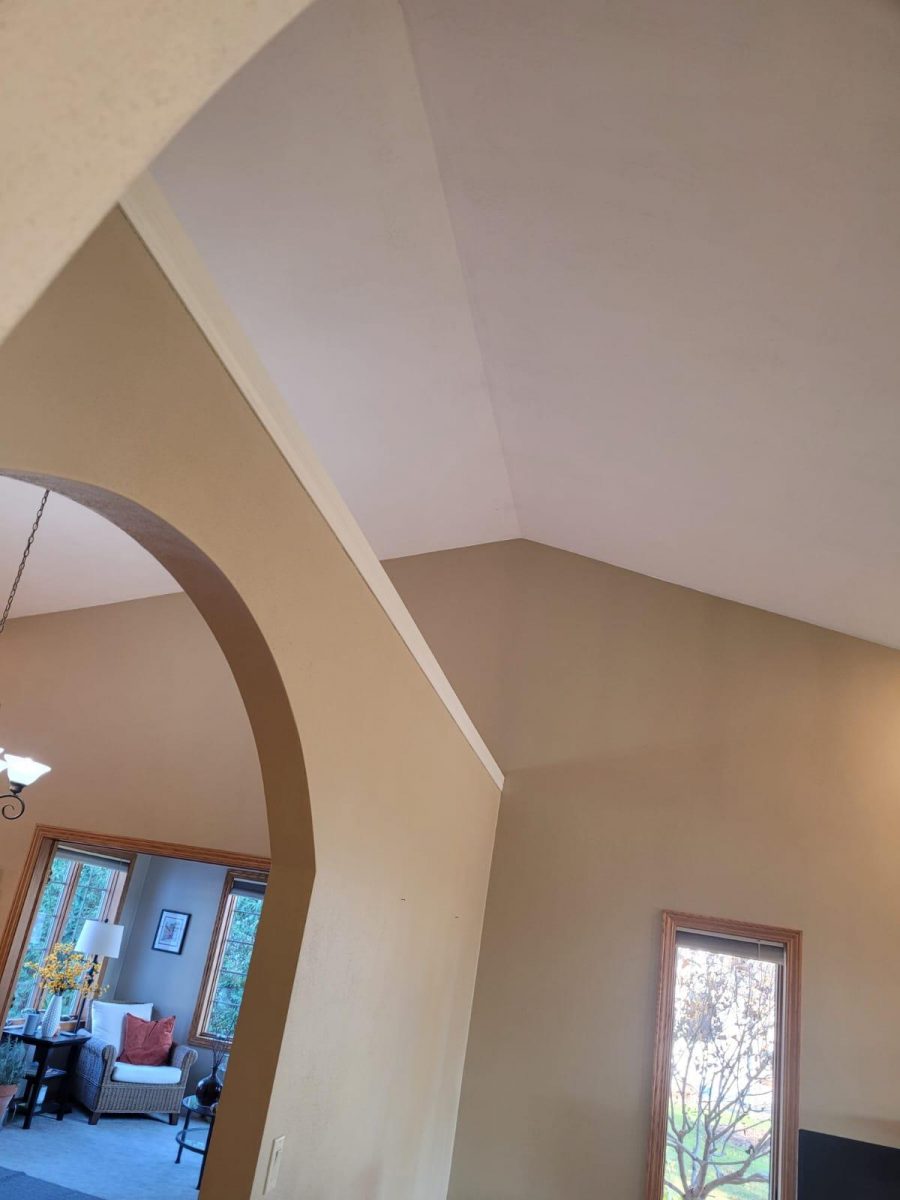  Preview Image 3