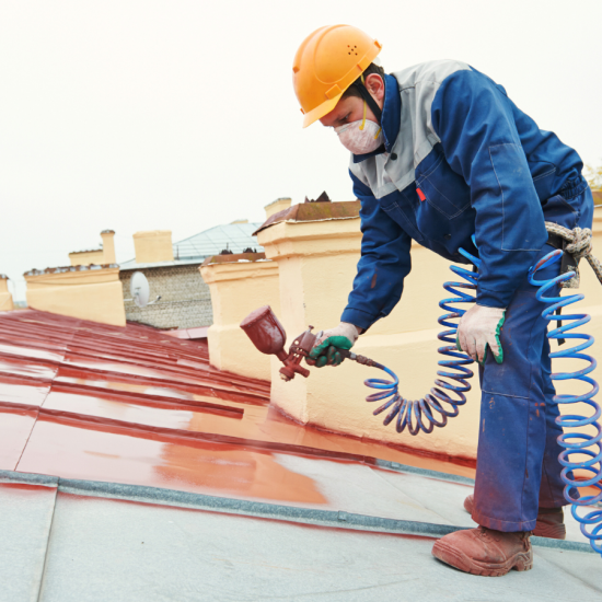 Cosmetic Roof Painting