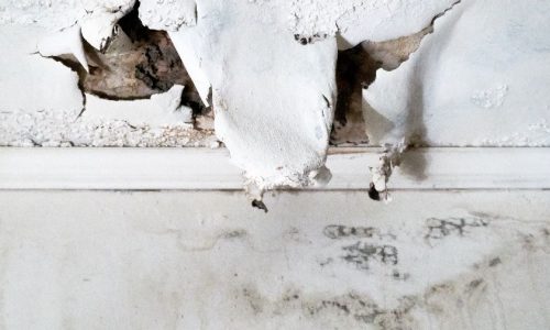 Water Damaged Drywall