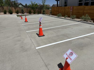 repainted sporting line